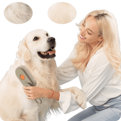 Cepillo con Vapor para Mascotas | Pet Brush