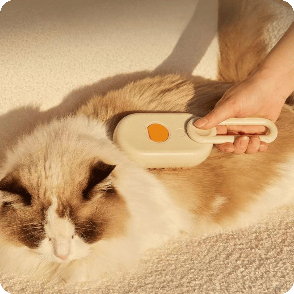 Cepillo con Vapor para Mascotas | Pet Brush